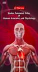 Image for Junior Animated Atlas of Human Anatomy and Physiology