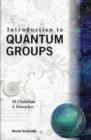 Image for Introduction to Quantum Groups.