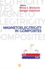 Image for Magnetoelectricity in composites