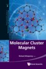 Image for MOLECULAR CLUSTER MAGNETS