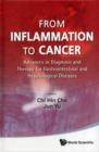 Image for From inflammation to cancer  : advances in diagnosis and therapy for gastrointestinal and hepatological diseases