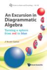 Image for An excursion in diagrammatic algebra: turning a sphere from red to blue