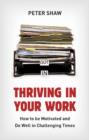 Image for Thriving in your work: how to succeed and remain motivated in challenging times