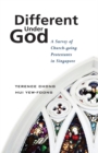 Image for Different under God  : a survey of church-going protestants in Singapore