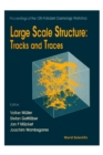 Image for LARGE SCALE STRUCTURE: TRACKS AND TRACES - PROCEEDINGS OF 12TH POTSDAM COSMOLOGY WORKSHOP