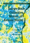 Image for LARGE-SCALE COLLECTIVE MOTION OF ATOMIC NUCLEI - PROCEEDINGS OF THE INTERNATIONAL SYMPOSIUM