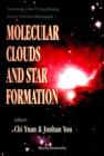 Image for Molecular Clouds and Star Formation