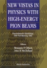 Image for NEW VISTAS IN PHYSICS WITH HIGH-ENERGY PION BEAMS - PRECONFERENCE WORKSHOP, DNP FALL MEETING 1992