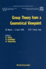 Image for Group Theory From A Geometrical Viewpoint: 395