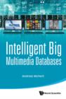 Image for Intelligent big multimedia databases
