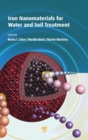 Image for Iron Nanomaterials for Water and Soil Treatment