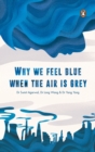 Image for Why We Feel Blue When the Air is Grey