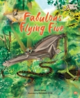 Image for Fabulous Flying Five