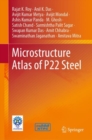 Image for Microstructure Atlas of P22 Steel