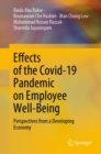 Image for Effects of the COVID-19 pandemic on employee well-being  : perspectives from a developing economy