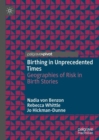 Image for Birthing in unprecedented times  : geographies of risk in birth stories
