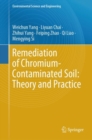 Image for Remediation of Chromium-Contaminated Soil: ?Theory and Practice?