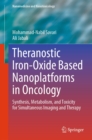 Image for Theranostic Iron-Oxide Based Nanoplatforms in Oncology: Synthesis, Metabolism, and Toxicity for Simultaneous Imaging and Therapy