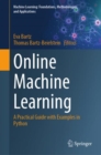 Image for Online Machine Learning
