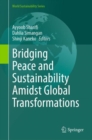 Image for Bridging Peace and Sustainability Amidst Global Transformations