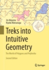Image for Treks into intuitive geometry  : the world of polygons and polyhedra