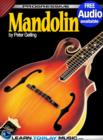 Image for Mandolin Lessons for Beginners: Teach Yourself How to Play Mandolin (Free Audio Available).
