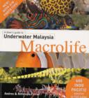 Image for A Divers Guide to Underwater Malaysia Macrolife