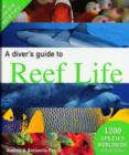 Image for A diver&#39;s guide to reef life