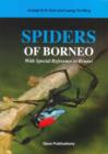 Image for Spiders of Borneo: With Special Reference to Brunei