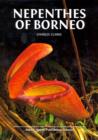 Image for Nepenthes of Borneo
