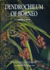 Image for Dendrochilum of Borneo