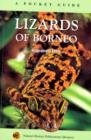 Image for Lizards of Borneo