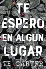 Image for Te espero en algun lugar