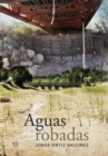 Image for Aguas robadas