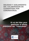 Image for Soledad y aislamiento del colaborador en cuarentena por coronavirus : El rol del lider para gestionar el efecto emocional del "Teletrabajo"