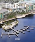 Image for Public landscapes