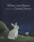 Image for When the Moon Came Down