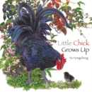 Image for Little Chick Grows Up