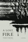 Image for Lost Fire