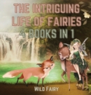 Image for The Intriguing Life of Fairies : 4 Books in 1