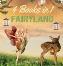 Image for Fairyland : 4 Books in 1