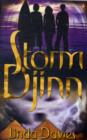 Image for Storm Djinn
