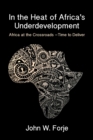 Image for In the Heat of Africa&#39;s Underdevelopment : Africa at the Crossroads -Time to Deliver