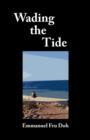 Image for Wading the Tide : Poems