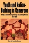 Image for Youth and Nation-building in Cameroon
