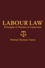Image for Labour law: principles &amp; practice in Cameroon