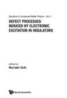 Image for Defect Processes Induced By Electronic Excitation In Insulators