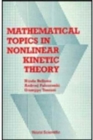 Image for Mathematical Topics In Nonlinear Kinetic Theory