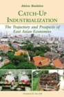 Image for Catch-up Industrialization : The Trajectory and Prospects of East Asian Economies