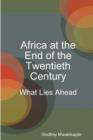 Image for Africa at the End of the Twentieth Century
